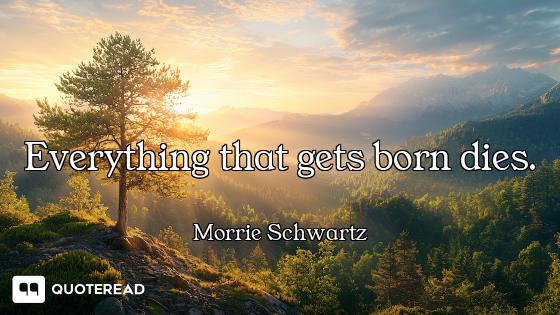 Everything that gets born dies.