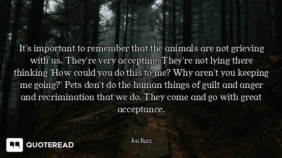 It's important to remember that the animals are not grieving with us. They're very accepting. They'r...