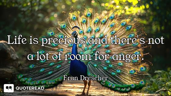 Life is precious and there's not a lot of room for anger.