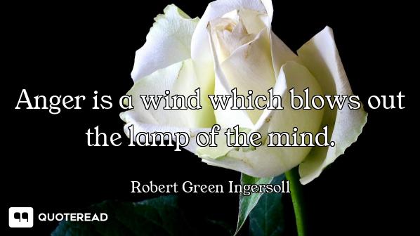 Anger is a wind which blows out the lamp of the mind.
