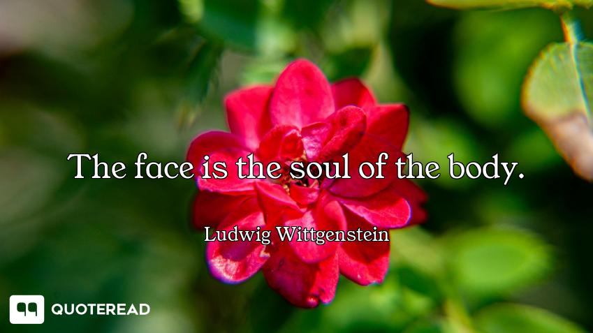 The face is the soul of the body.