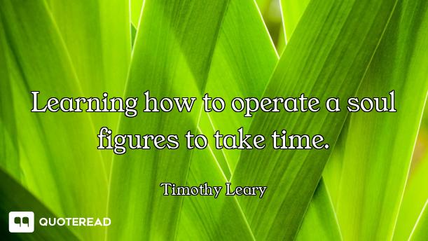 Learning how to operate a soul figures to take time.