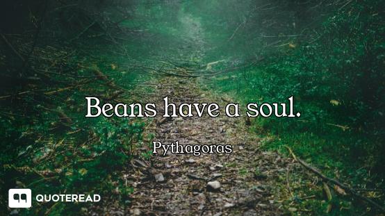 Beans have a soul.