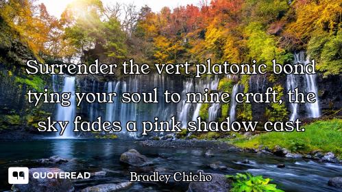 Surrender the vert platonic bond tying your soul to mine craft, the sky fades a pink shadow cast.