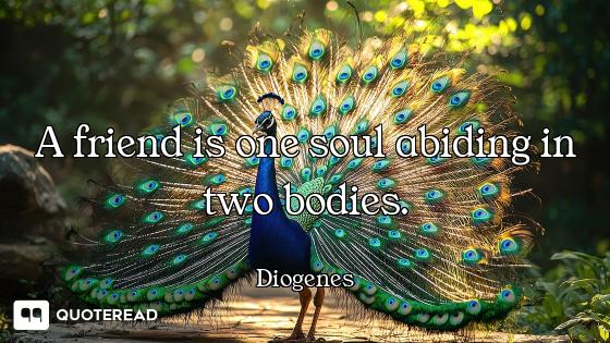 A friend is one soul abiding in two bodies.