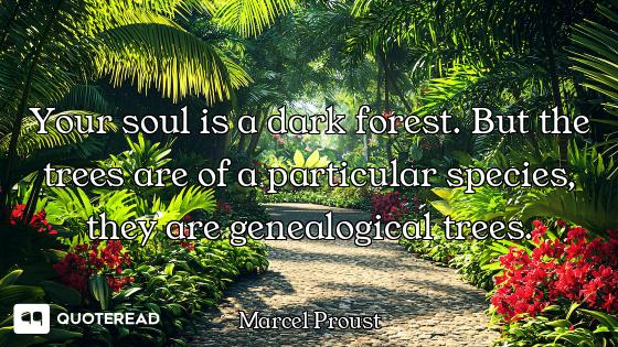 Your soul is a dark forest. But the trees are of a particular species, they are genealogical trees.