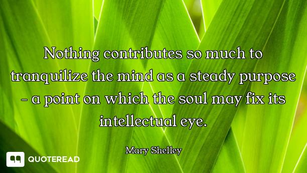 Nothing contributes so much to tranquilize the mind as a steady purpose - a point on which the soul...