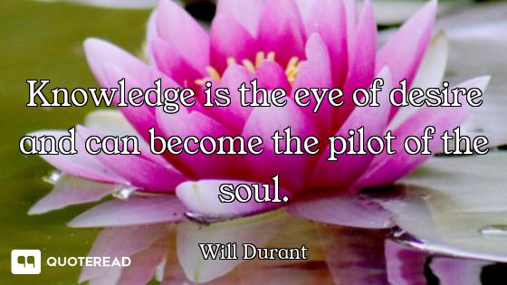 Knowledge is the eye of desire and can become the pilot of the soul.