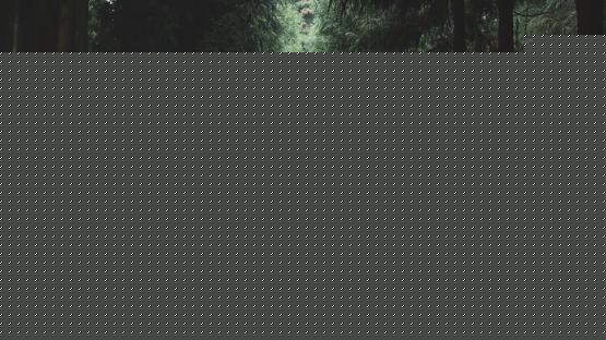 Most companies that go through layoffs are never the same. They don't recover because trust is broke...