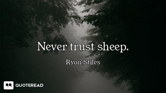 Never trust sheep.