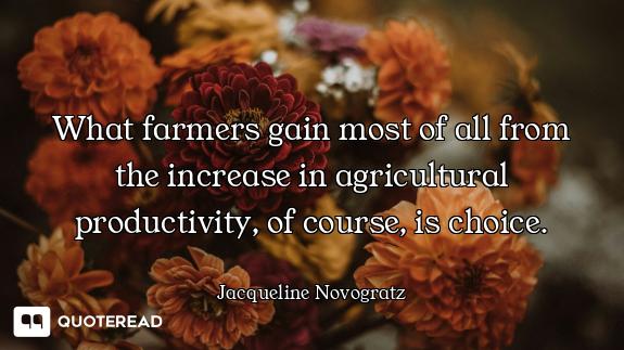 What farmers gain most of all from the increase in agricultural productivity, of course, is choice.