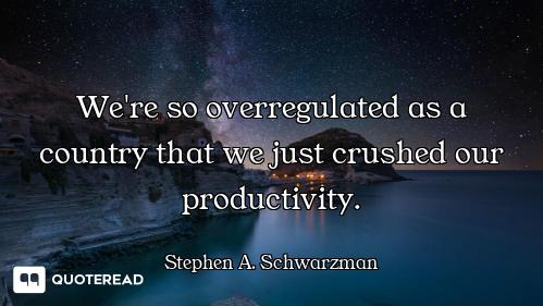 We're so overregulated as a country that we just crushed our productivity.