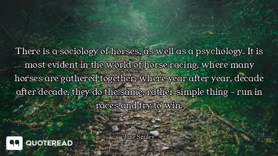 There is a sociology of horses, as well as a psychology. It is most evident in the world of horse ra...