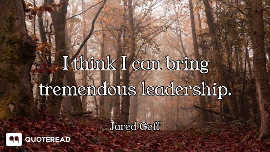 I think I can bring tremendous leadership.