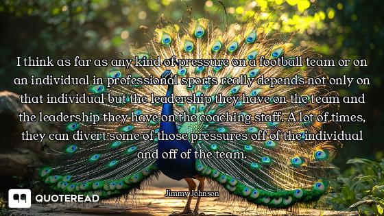 I think as far as any kind of pressure on a football team or on an individual in professional sports...