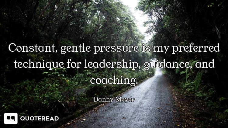 Constant, gentle pressure is my preferred technique for leadership, guidance, and coaching.