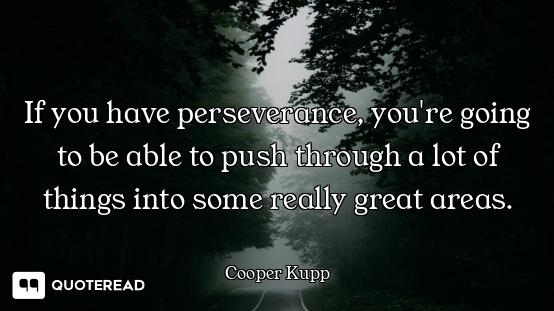 If you have perseverance, you're going to be able to push through a lot of things into some really g...