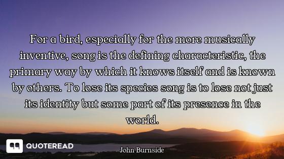 For a bird, especially for the more musically inventive, song is the defining characteristic, the pr...