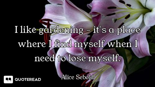 I like gardening - it's a place where I find myself when I need to lose myself.