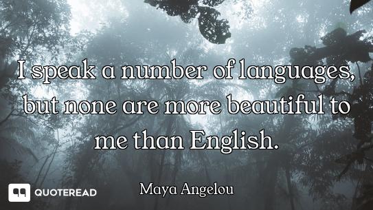 I speak a number of languages, but none are more beautiful to me than English.