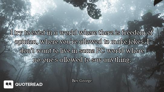 I try to exist in a world where there is freedom of opinion, where you're allowed to make jokes. I d...