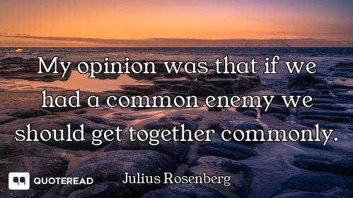 My opinion was that if we had a common enemy we should get together commonly.