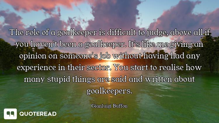 The role of a goalkeeper is difficult to judge, above all if you haven't been a goalkeeper. It's lik...
