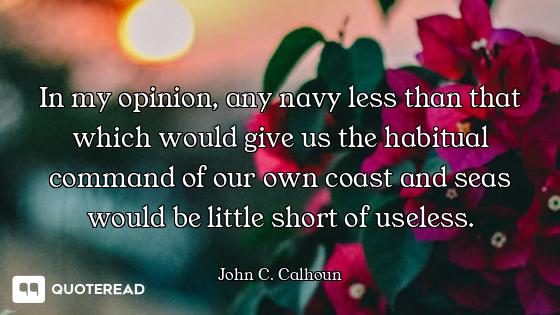 In my opinion, any navy less than that which would give us the habitual command of our own coast and...