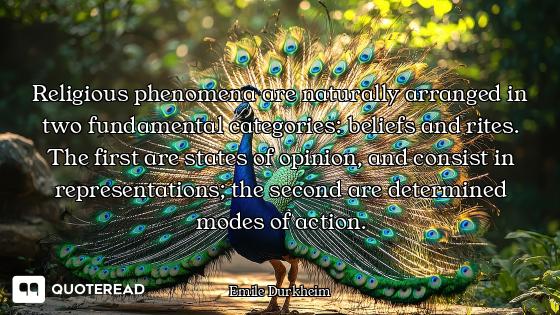 Religious phenomena are naturally arranged in two fundamental categories: beliefs and rites. The fir...