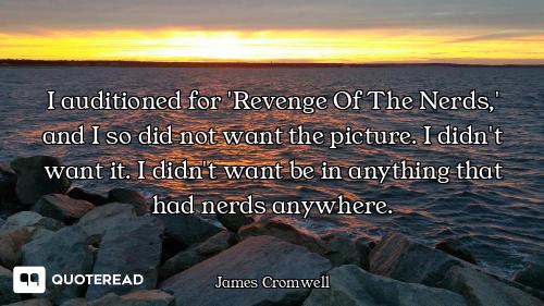 I auditioned for 'Revenge Of The Nerds,' and I so did not want the picture. I didn't want it. I didn...