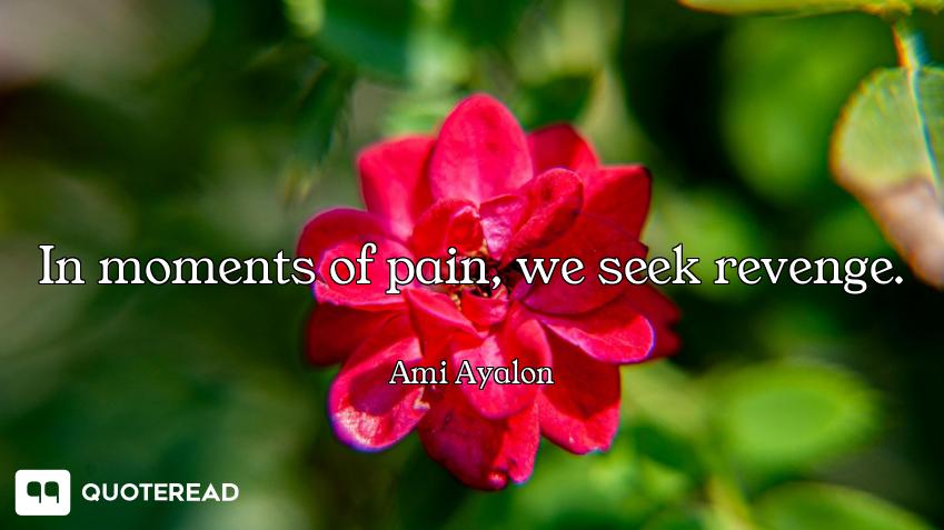 In moments of pain, we seek revenge.