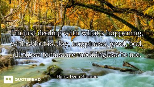 I'm just dealing with what's happening, with what is. Joy, happiness, good, bad, all those terms are...