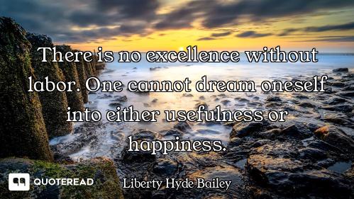 There is no excellence without labor. One cannot dream oneself into either usefulness or happiness.