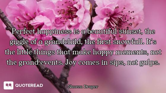 Perfect happiness is a beautiful sunset, the giggle of a grandchild, the first snowfall. It's the li...