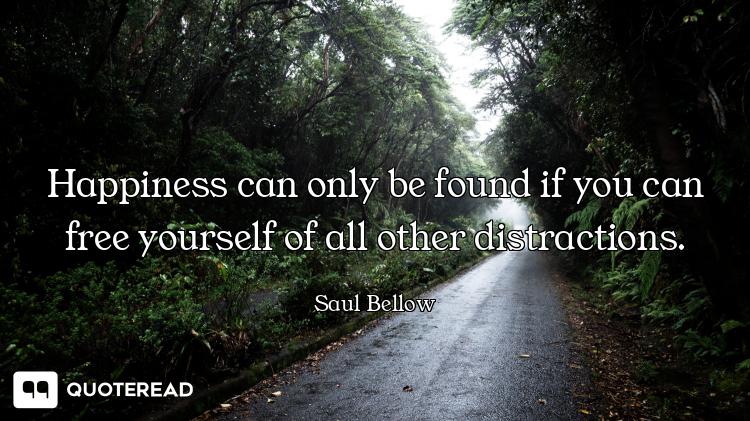 Happiness can only be found if you can free yourself of all other distractions.