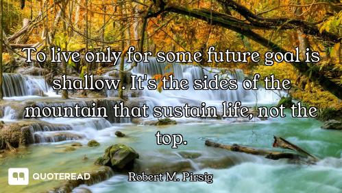To live only for some future goal is shallow. It's the sides of the mountain that sustain life, not...