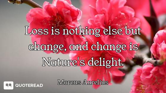 Loss is nothing else but change, and change is Nature's delight.