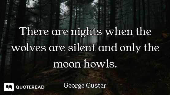 There are nights when the wolves are silent and only the moon howls.