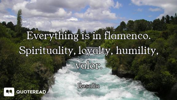 Everything is in flamenco. Spirituality, loyalty, humility, valor.