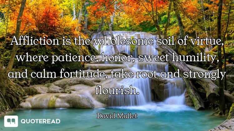 Affliction is the wholesome soil of virtue, where patience, honor, sweet humility, and calm fortitud...