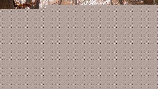 I think any artist that's going to become anything in this world faces humility: with great humility...