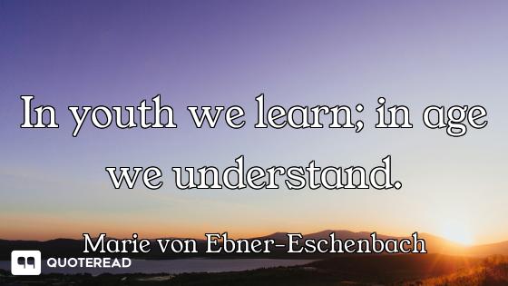 In youth we learn; in age we understand.