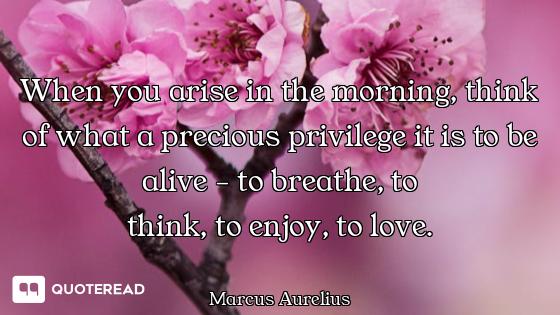 When you arise in the morning, think of what a precious privilege it is to be alive - to breathe, to...
