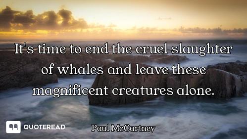 It's time to end the cruel slaughter of whales and leave these magnificent creatures alone.