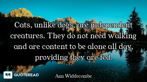 Cats, unlike dogs, are independent creatures. They do not need walking and are content to be alone a...