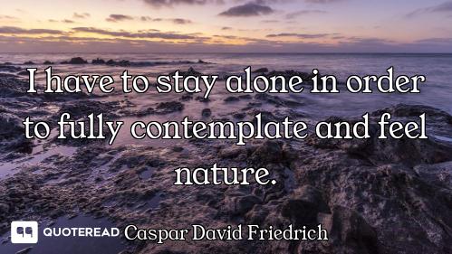I have to stay alone in order to fully contemplate and feel nature.