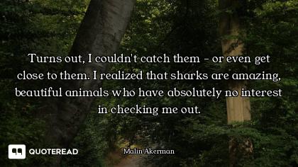 Turns out, I couldn't catch them - or even get close to them. I realized that sharks are amazing, be...