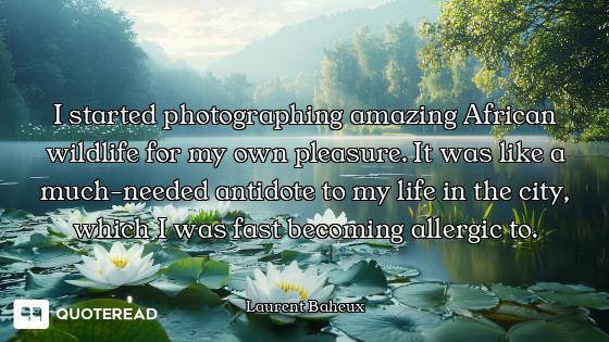 I started photographing amazing African wildlife for my own pleasure. It was like a much-needed anti...