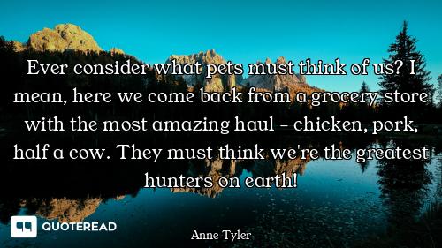 Ever consider what pets must think of us? I mean, here we come back from a grocery store with the mo...