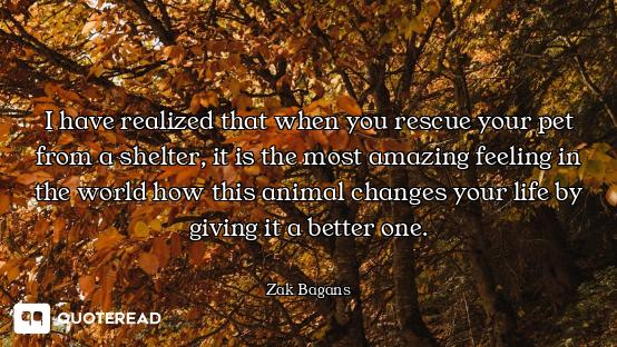 I have realized that when you rescue your pet from a shelter, it is the most amazing feeling in the...